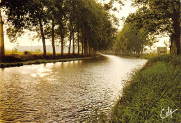 82  Le Canal Du Midi Castelsarrasin 32 (scan Recto Verso)MA008TER - Castelsarrasin