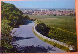 CARTE NUITS SAINT GEORGES - 21 - VUE GENERALE PANORAMIQUE - SCAN RECTO/VERSO - 5 - Nuits Saint Georges