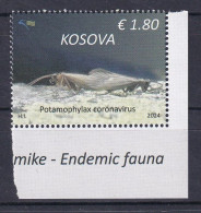 KOSOVO 2024,FAUNA ,INSECTS,ENDEMIC FAUNA,LAT. POTAMOPHYLAX CORONAVIRUS,MNH - Kosovo