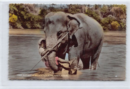 Sri Lanka - KANDY - Tame Elephant At Katugastota River - Publ. Ceylon Pictorials 56 - Sri Lanka (Ceylon)