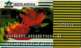 PORTUGAL - Crédito Agrícola - Visa Card - Carte Di Credito (scadenza Min. 10 Anni)