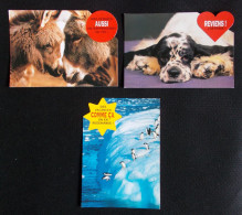 Lot De 3 Cartes Postales Chiens Et Pingouins - Bubble's Cards - Collections & Lots