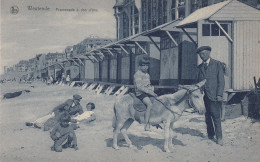 Westende - Promenade à Dos D'âne - Westende