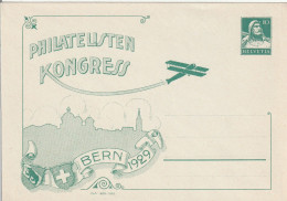 Suisse Entier Postal Illustré Aviation Bern 1929 - Entiers Postaux