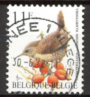 BE   2449   Obl.   --- Oiseau Buzin : Troglodyte Mignon - Gebruikt