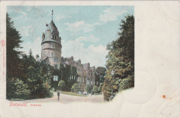 Litho Detmold, Schloss 1901 - Detmold