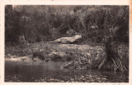 CONGO Francais POINTE NOIRE Caiman Sur La Riviere Loeme 39(scan Recto-verso) MA197 - Pointe-Noire