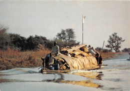 REPUBLIQUE DU NIGER Sur Le Fleuve Du Niger 1 (scan Recto-verso) MA181 - Níger