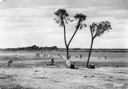 REPUBLIQUE DU NIGER NIAMEY Les Bords Du Niger 7(scan Recto-verso) MA181 - Níger