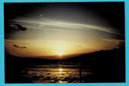 * Cadzand - Kadzand (Zeeland - Nederland) * (Carte Photo - Fotokaart) Strand, Sunset, Cocher Du Soleil, Beach, Plage - Cadzand