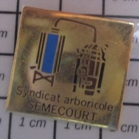 713c Pin's Pins / Beau Et Rare / ASSOCIATIONS / SYNDICAT ARBORICOLE SEMECOURT - Associazioni