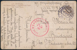 1917 Tábori Posta Képeslap / Field Postcard Torpedoboot 79 T - Sonstige & Ohne Zuordnung