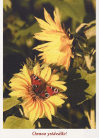MARIPOSAS Animales Vintage Tarjeta Postal CPSM #PBS447.ES - Butterflies