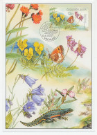 Maximum Card Czech Republic 2005 Butterfly - Salamander - Other & Unclassified