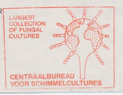 Meter Top Cut Netherlands 1984 Fungal Cultures - Autres & Non Classés