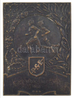 1938. "PSE (Postás Sport Egyesület)" Bronz Díjplakett Gravírozással (43x57mm) T:AU Patina - Unclassified