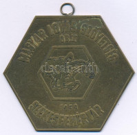 1958. "Magyar Lovas Szövetség O.B. I. - Székesfehérvár" Bronz Sport Emlékplakett Füllel (53x60mm) T:XF Patina - Non Classés