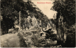 T2/T3 1911 Anina, Stájerlakanina, Stájerlak, Steierdorf; Bozovicsi út. Hollschütz Kiadása / Bozovicser Strasse / Bozovic - Ohne Zuordnung