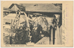 T2/T3 1917 Borsa, Borscha; Mühle Im Sommer (Karpathen) / Vízimalom Nyáron / Watermill In Summer (EK) - Non Classés