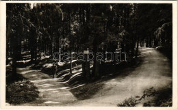 T2 1942 Borszék, Borsec; Szerelmesek Sétánya. Heiter György Fényképész Eredeti Felvétele / Lovers' Promenade - Ohne Zuordnung