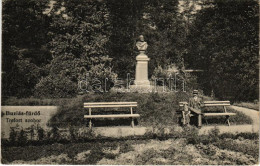 T2/T3 1915 Buziás-fürdő, Baile Buzias; Trefort Szobor. Heksch Manó Kiadása / Monument (EK) - Non Classés
