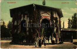 T3 1911 Buziásfürdő, Baile Buzias; József-forrás. Francz József Kiadása / Spa, Spring Source (EB) - Non Classés