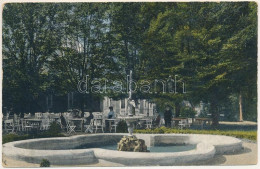 * T2/T3 1917 Buziásfürdő, Baile Buzias; Gyógyterem Park Részlettel. Módosi János Kiadása / Spa, Park (EK) - Non Classés