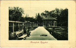 T3 1911 Buziásfürdő, Baile Buzias; Gyógykert. W.L. Bp. 2044. / Spa Park (EB) - Ohne Zuordnung