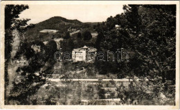 ** T3 Csucsa, Ciucea; Volt Ady Kastély. Marosi József Kiadása / Castle (felszíni Sérülés / Surface Damage) - Non Classificati