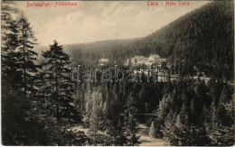 T2 1913 Barlangliget, Höhlenhain, Tatranská Kotlina (Magas-Tátra, Vysoké Tatry); Látkép / General View - Zonder Classificatie