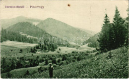 T2/T3 1923 Borosznófürdő, Brusno-kúpele (Borosznó, Brusznó, Brusno); Pokolvölgy / Valley (EK) - Zonder Classificatie