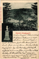 T2 1900 Feketehegy, Schwartzenberg, Cernohorské Kúpele (Merény, Vondrisel, Nálepkovo); Tompa Emlék. Matz Gusztáv Kiadása - Ohne Zuordnung