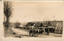 * T2 1933 Kolta, Koltha, Koltovjec; Utca, Tehén Szekér / Street, Cow Cart. Photo - Zonder Classificatie
