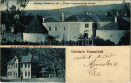 T2/T3 1915 Kabold, Kobersdorf; Herceg Esterházy Vár, Kastély, Erdő Savanyúkút / Fürstl. Esterhasisches Schloss, Wald Sau - Ohne Zuordnung