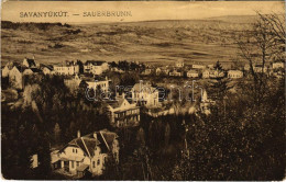 T2/T3 1913 Savanyúkút, Sauerbrunn; Látkép. Hönigsberg Frigyes Kiadása / General View (EK) - Ohne Zuordnung