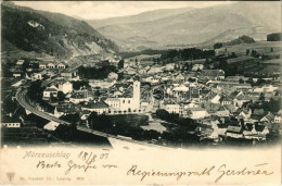 T2/T3 1901 Mürzzuschlag (Steiermark), General View, Railway Bridge, Railway Station (EK) - Unclassified