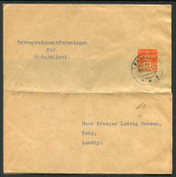 1942 Denmark 6ore Stationery Wrapper Naestved - Lundby - Cartas & Documentos