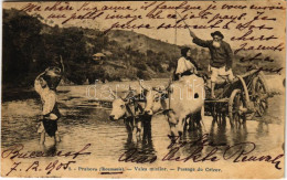 T2/T3 1905 Prahova, Valea Mieilor, Passage Du Cricov / Romanian Folklore, Oxen Cart (fl) - Non Classés