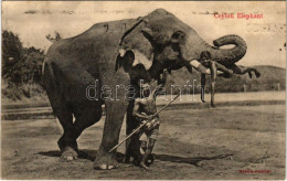 T2 1913 Ceylon Elephant / Munkára Fogott Sri Lanka-i Elefánt Játék Közben - Non Classés