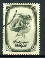 België 490 - Prins Albert Van Luik / Liège - Gestempeld - Oblitéré - Used - Gebraucht