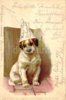 * T2 1898 Dog, Theo Stroefer's Kunstverlag, Serie VII. No. 5507. Litho - Sin Clasificación