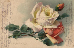 T2 Rose Litho S: Klein - Zonder Classificatie