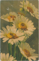 T2/T3 Flower, Litho S: C. Klein - Ohne Zuordnung