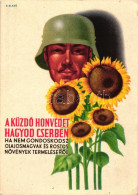 ** T2/T3 A Küzdő Honvédet Hagyod Cserben, Ha Nem Gondoskodsz Olajos Magvak és Rostos Növények Termeléséről / Hungarian S - Non Classés