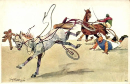 ** T2/T3 Carriage Driving Race, Humour, Horse, B.K.W.I. 673-5. S: Schönpflug (fl) - Unclassified