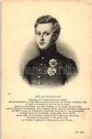 ** T2 Duc De Reichstadt. Napoleon II - Unclassified