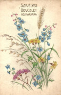 * T2/T3 Name Day, Flowers, Pittius (Rb) - Non Classés