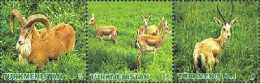 Turkmenistan 2009 Fauna Artiodactyl Goats Rams Strip Of 3 Stamps MNH - Turkmenistan