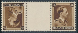 BELGIUM BELGIQUE COB KT20 MNH - Tête-bêche [KP] & Zwischensteg [KT]