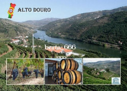 Portugal Alto Douro Wine Region UNESCO New Postcard - Vila Real